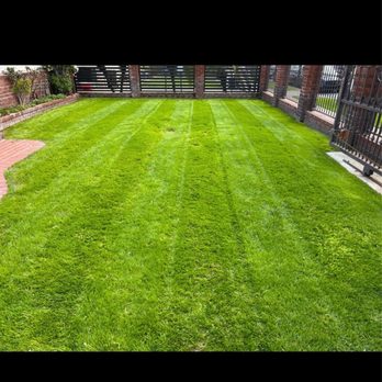 TruGreen Lawn Care - Before hiring tru green FRAUDS - Tree Services Near Me - Irwindale, California TruGreen Lawn Care - Before hiring tru green FRAUDS - Tree Services Near Me - Irwindale, California