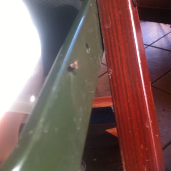 Starbucks - A fly attacking a high chair.....ugh gross - Coffee & Tea Near Me - Richmond, British Columbia