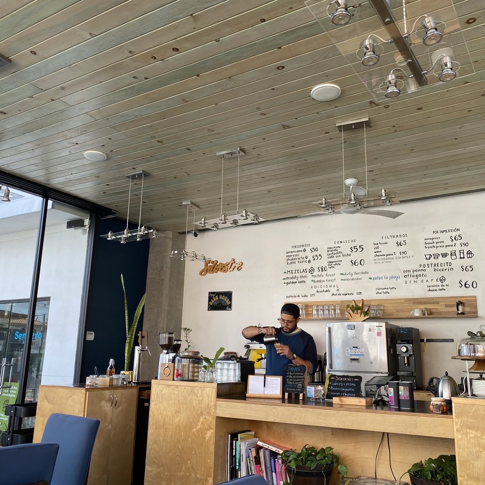 Silvestre - Coffee bar - Coffee & Tea Near Me - Tijuana, BCN
