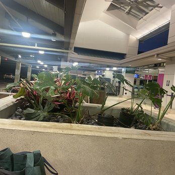 Hawaiian Airlines - A spot to sit across from men's restroom - Airlines Near Me - Lihue, Hawaii Hawaiian Airlines - A spot to sit across from men's restroom - Airlines Near Me - Lihue, Hawaii