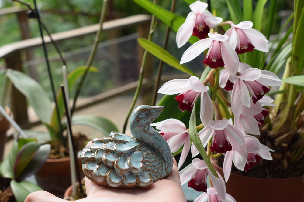 577 Foundation - social services organization in Perrysburg, OH