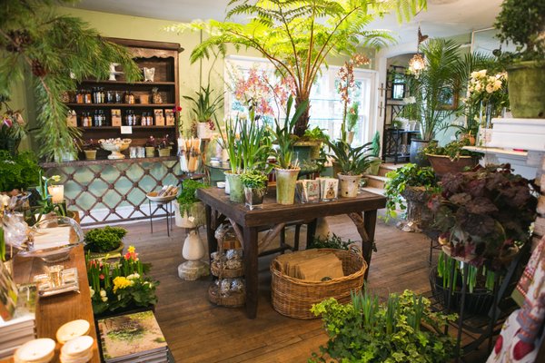 The Gardener's Cottage by null