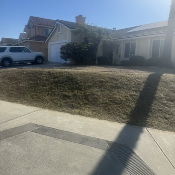 Javier’s Gardening - AFTER - Gardeners Near Me