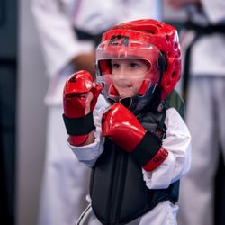I AM Family Martial Arts and Leadership Academy - Tiger power