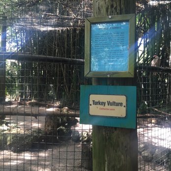 Flamingo Gardens - Love their birds of prey exhibit. - Botanical Gardens Near Me - Davie, Florida Flamingo Gardens - Love their birds of prey exhibit. - Botanical Gardens Near Me - Davie, Florida
