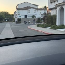 The Management Trust - Homeless going through the trash bins.