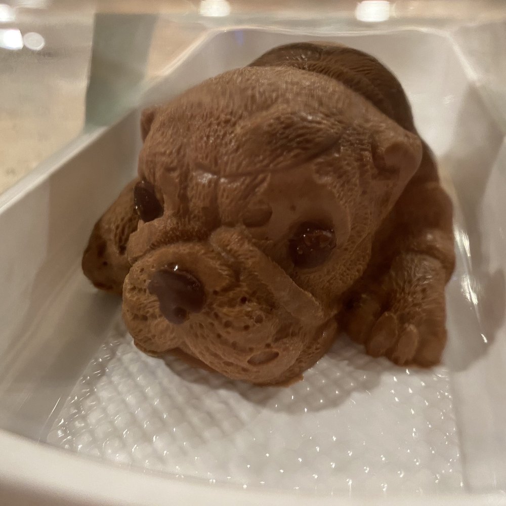 Timeless Tea - Chocolate Bulldog Mouss - Bubble Tea Near Me - Bellevue, Washington Timeless Tea - Chocolate Bulldog Mouss - Bubble Tea Near Me - Bellevue, Washington
