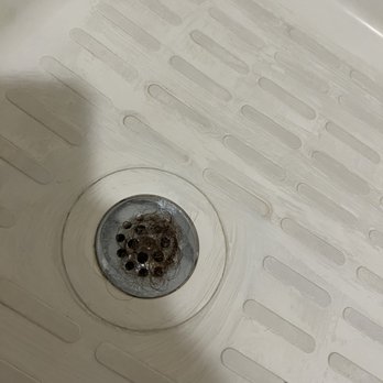 Radisson Hotels Americas - Hair from previous guests accumulated in shower drain. - Hotels Near Me - Pierre, South Dakota Radisson Hotels Americas - Hair from previous guests accumulated in shower drain. - Hotels Near Me - Pierre, South Dakota