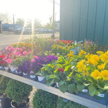 John Lasley Outdoor Solutions - a variety of flowers - Landscaping Near Me - Lebanon, Indiana John Lasley Outdoor Solutions - a variety of flowers - Landscaping Near Me - Lebanon, Indiana