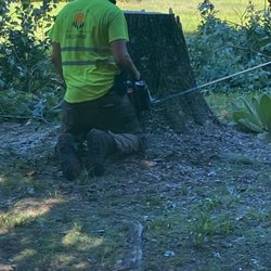 Forestry Grove Tree Service