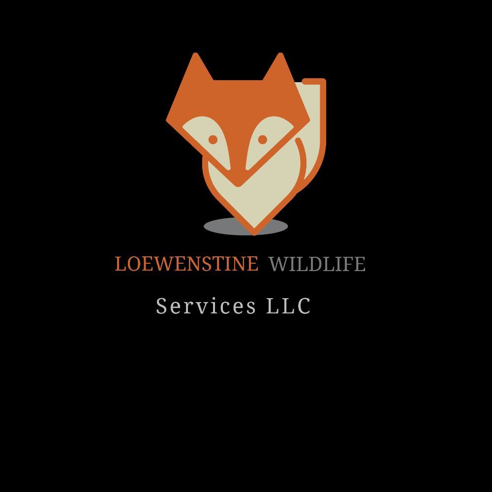 LOEWENSTINE WILDLIFE SERVICES Lawrenceburg, Indiana Pest Control
