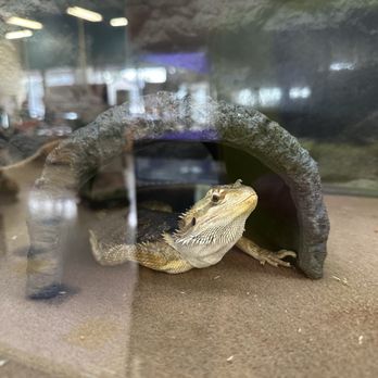 Petco - Pet Stores Near Me - Long Beach, California