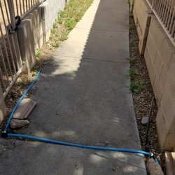 Pride Community Management - Above ground drip system line. Major safety concern. Reported trip hazard in September 2023. Still hasn't been addressed.
