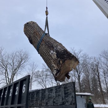 Steve's Tree Services - Loading massive logs - Tree Services Near Me Steve's Tree Services - Loading massive logs - Tree Services Near Me