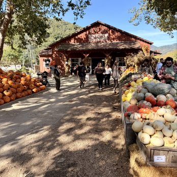 Avila Valley Barn - Fruits & Veggies Near Me - San Luis Obispo, California Avila Valley Barn - Fruits & Veggies Near Me - San Luis Obispo, California