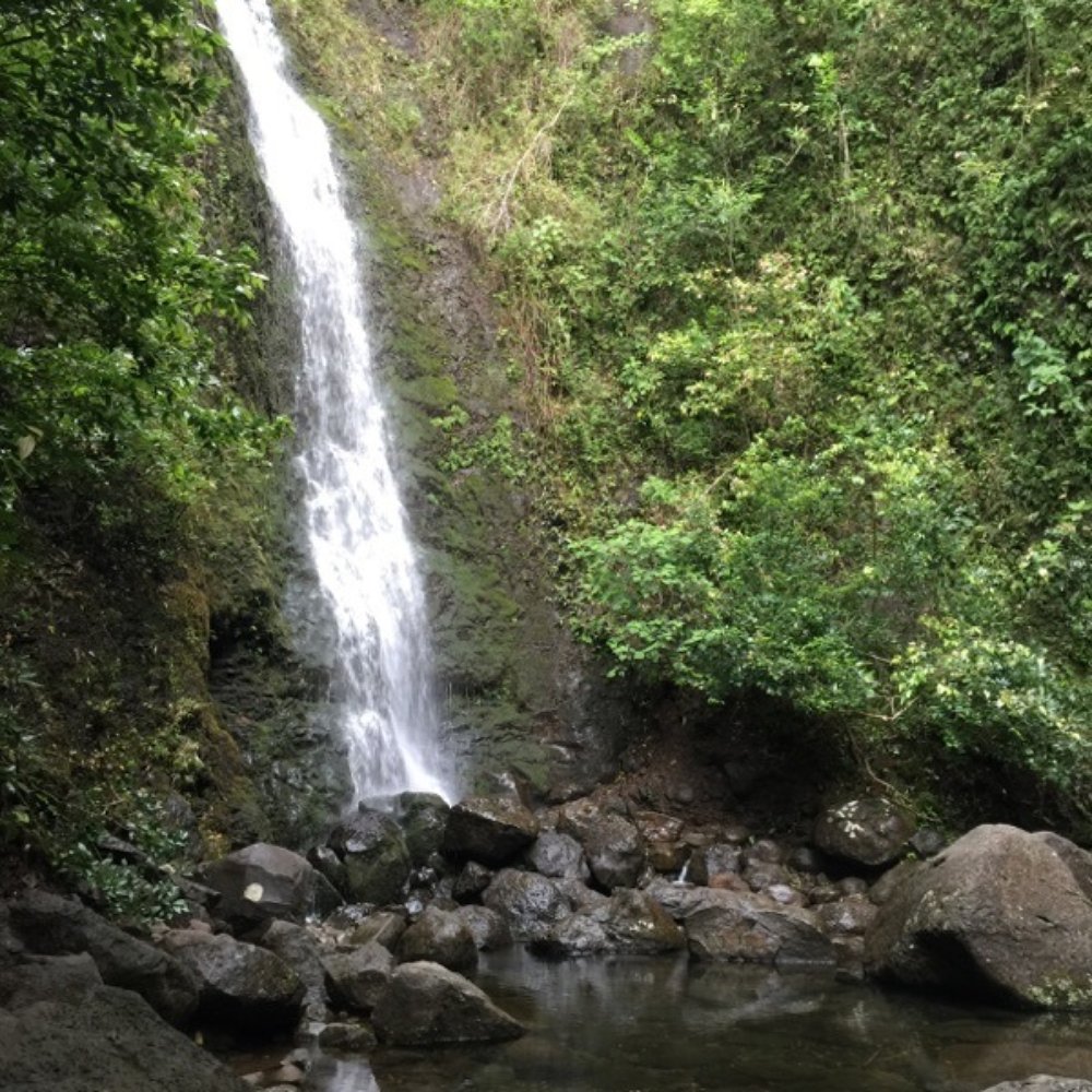 Lulumahu Falls - Hiking Near Me - Honolulu, Hawaii