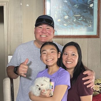 Oahu_Puppies - Pet Breeders Near Me Oahu_Puppies - Pet Breeders Near Me