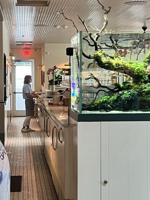 Clark’s Oyster Bar - Houston by null