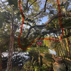 Gladiator Landscaping and Tree Service - Branches blocking the lake view that I paid him to cut that he did not cut and kept my $2500 deposit and cancel my service agreement