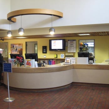 Lake Oswego Public Library - The check out /circulation desk with part of a "halo" for those saintly enough to work there and/or approach it. - Libraries Near Me - Lake Oswego, Oregon Lake Oswego Public Library - The check out /circulation desk with part of a "halo" for those saintly enough to work there and/or approach it. - Libraries Near Me - Lake Oswego, Oregon