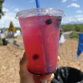 Mountainview Blueberry Farm - Blueberry Lemonade - Pick Your Own Farms Near Me - Snohomish, Washington
