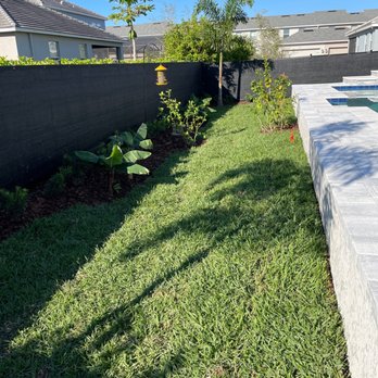 Phoenix Landscape Solutions - Back of pool - Landscaping Near Me