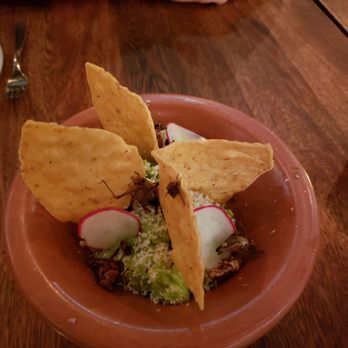 Tzuco - Guacamole with grasshoppers - Mexican Near Me - Chicago, Illinois Tzuco - Guacamole with grasshoppers - Mexican Near Me - Chicago, Illinois