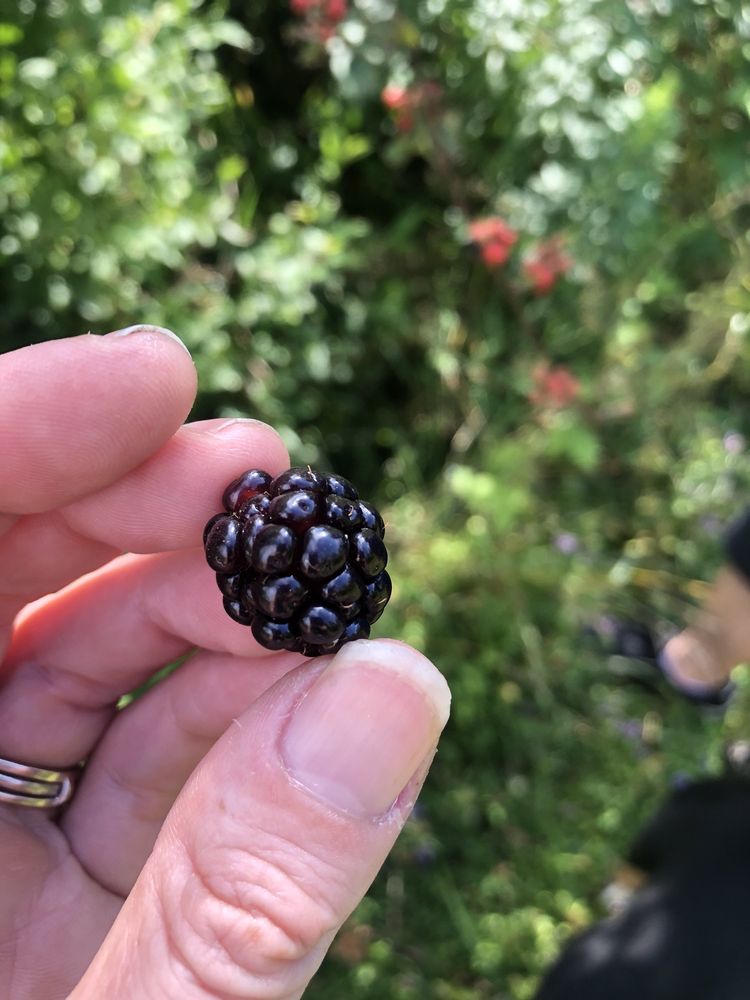 LAKESIDE BEACH STATE PARK 48 Photos & 13 Reviews Route 18