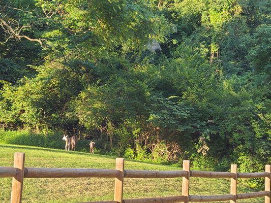 John Bryan State Park by null