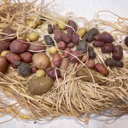 Love the colorful potatoes!