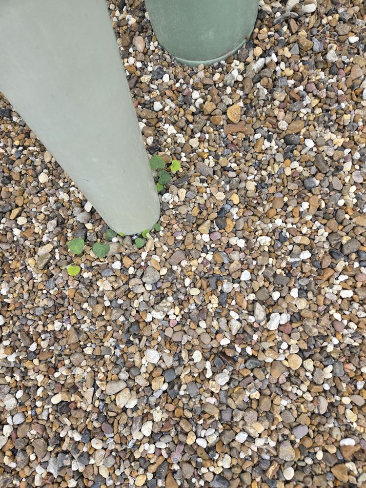 Slide of John W Shaw Paint & Remodeling