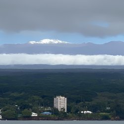 Banyan Drive - Snow on Mauna Kea