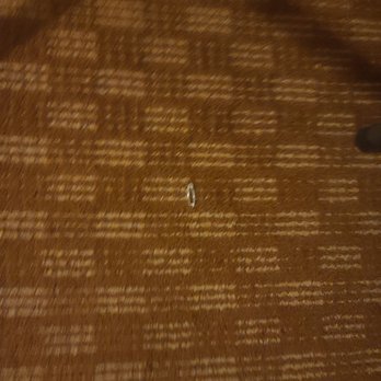 Clarion Inn Elmhurst - Oakbrook - Bobby pin - Hotels Near Me - Elmhurst, Illinois