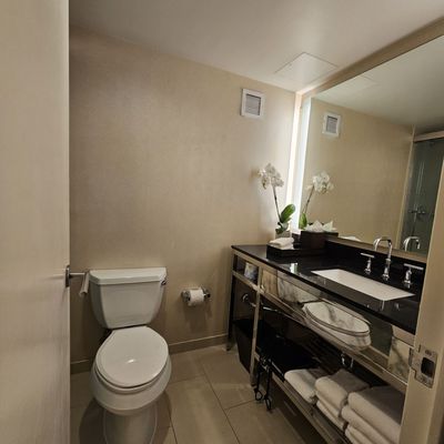 Hyatt Regency New Orleans by null