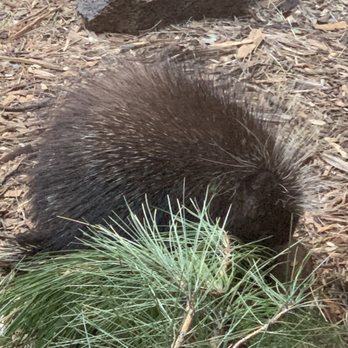 High Desert Museum - Museums Near Me - Bend, Oregon
