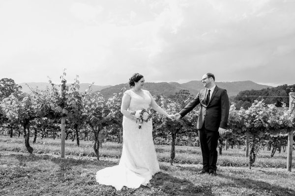 Addison Farms Vineyard by null