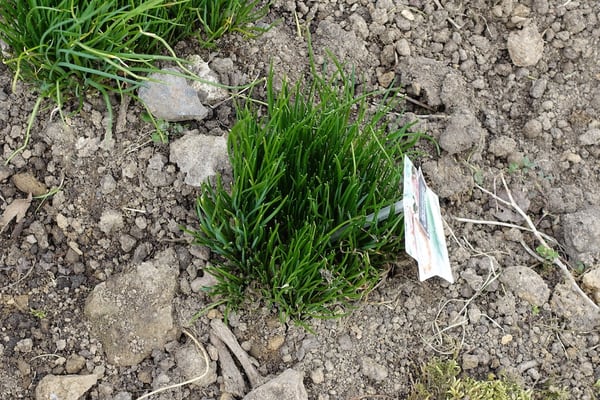 Auberge Du Vert Mont by null