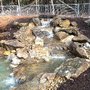 Photo of Silver Palm Landscaping