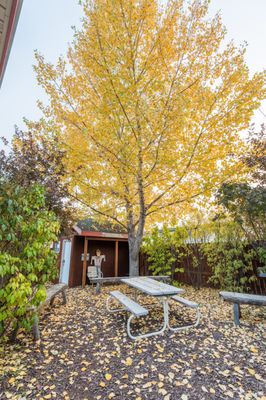 Pinedale Cozy Cabins by null