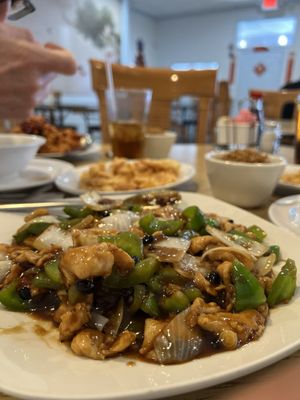 sichuan garden by null