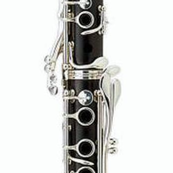 Woodwind Workshop - Musical Instrument Services Near Me - Floral Park, New York Woodwind Workshop - Musical Instrument Services Near Me - Floral Park, New York