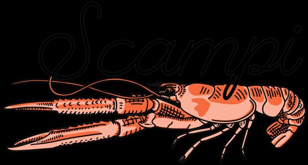 Scampi by null