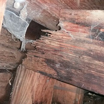 Inspectioneering - This damaged beam has a smaller cross-sectional area and hence has a reduced capacity to resist shear stress. - Home Inspectors Near Me - Davis, California Inspectioneering - This damaged beam has a smaller cross-sectional area and hence has a reduced capacity to resist shear stress. - Home Inspectors Near Me - Davis, California