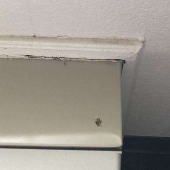 Rodeway Inn - AC and Heating unit, unkept. - Hotels Near Me - Stephenville, Texas
