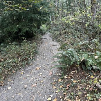 High Point Trailhead - And more up!! - Hiking Near Me - Issaquah, Washington