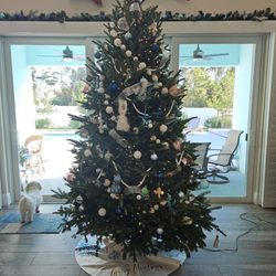 Tree Towne Christmas Trees