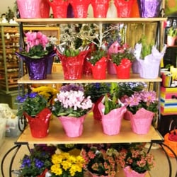 Evergreen Boutique & Christmas Shop