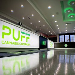 PUFF - Madison Heights