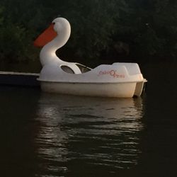 Cabin O' Pines Resort - Pelican Lake paddle