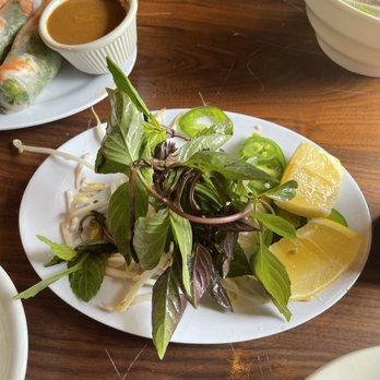 Pho Saigon Pasteur - Basil, Sprouts, Lemon - Vietnamese Near Me - Alhambra, California Pho Saigon Pasteur - Basil, Sprouts, Lemon - Vietnamese Near Me - Alhambra, California